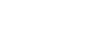 Vans Warped Tour